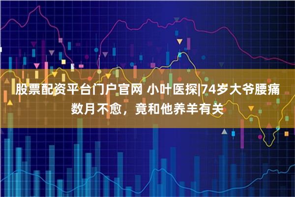 股票配资平台门户官网 小叶医探|74岁大爷腰痛数月不愈，竟和他养羊有关