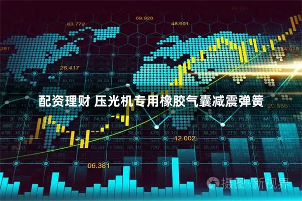 配资理财 压光机专用橡胶气囊减震弹簧