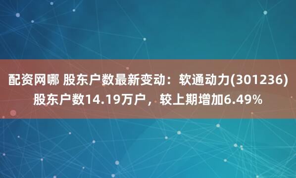 配资网哪 股东户数最新变动：软通动力(301236)股东户数14.19万户，较上期增加6.49%