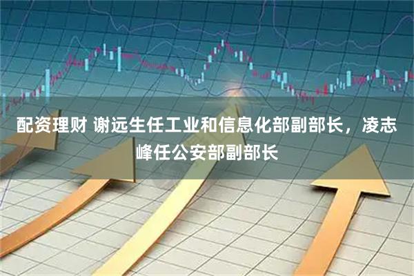 配资理财 谢远生任工业和信息化部副部长，凌志峰任公安部副部长
